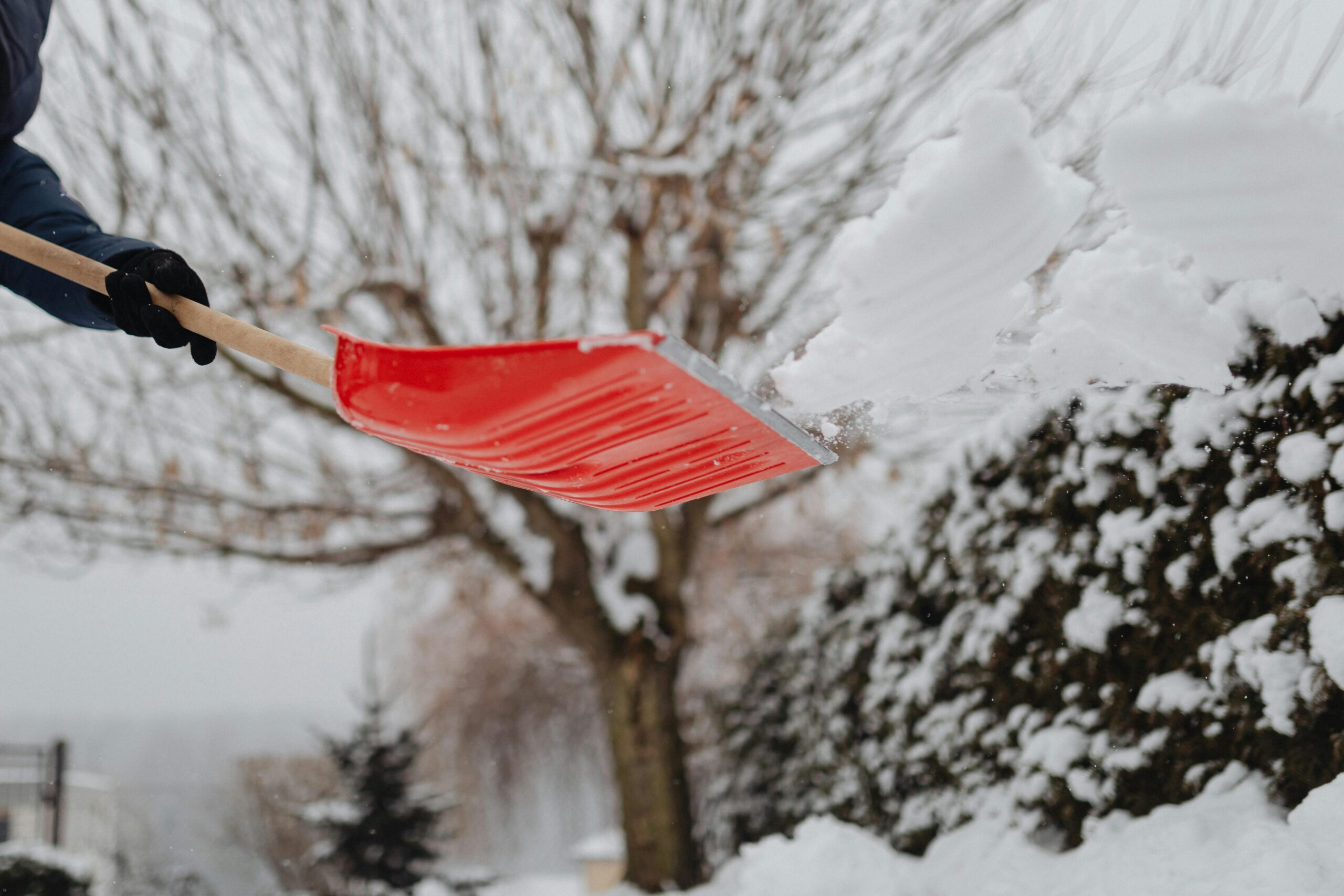 Person using a bright red shovel to clear snow in a winter landscape.
