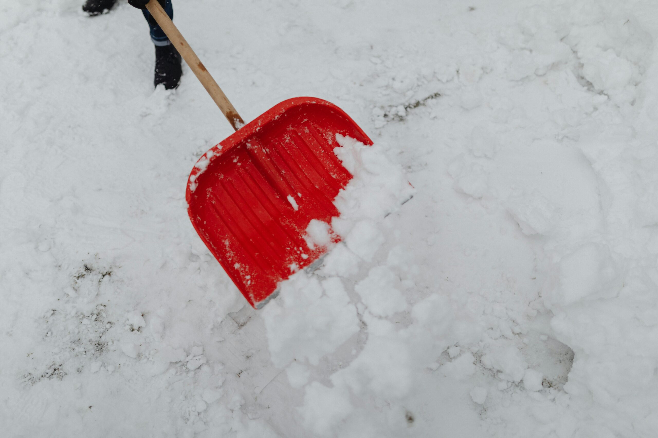 Red snow shovel clearing fresh snow, highlighting winter labor and cleanup.